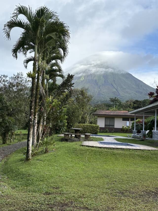 Photo 5 by Michele C. (3/20/26)