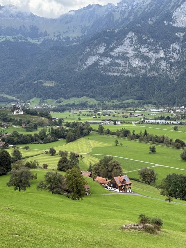 תמונה 1 מאת Yossi N. (12.9.25)