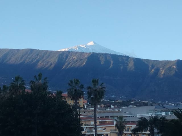 Photo 2 by Sukhdeep D. (1/9/26)