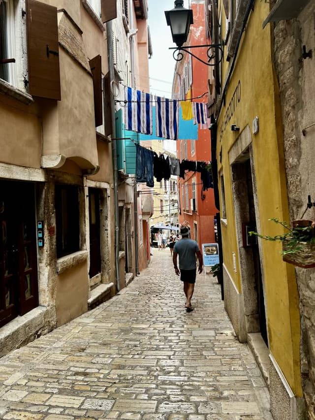 Photo 4 by Gabriella Q. about renting a VW Polo in Slovenia (6/24/24)