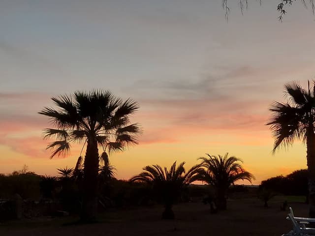 Foto 3 van Frans D. (1-11-24)