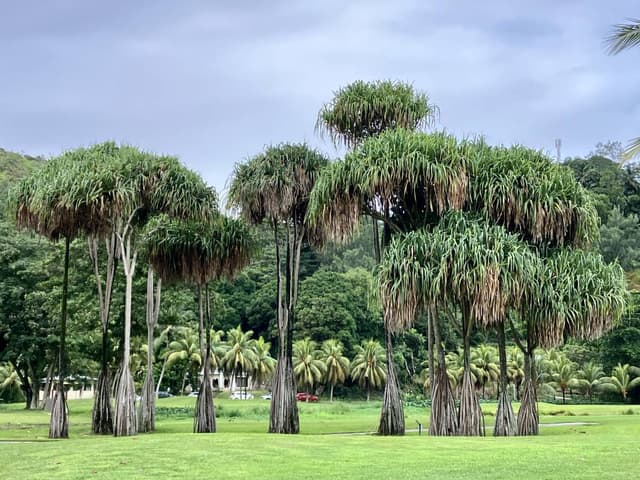 Photo 9 by Kenton S. about hiring a Hyundai Grand i10 in Victoria (13.05.24)