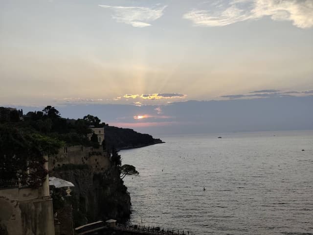 Photo 2 by Dr Rafat M. (8/4/26)