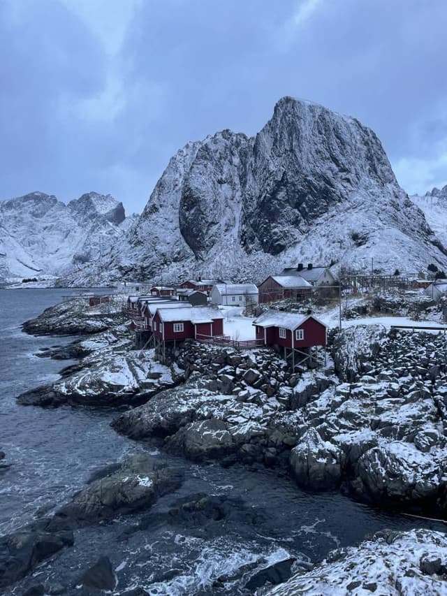 Photo 2 by Luca M. (11/4/24)