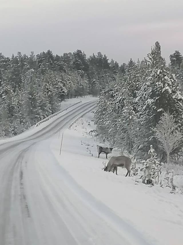 Foto 1 di Stefano R. (26/11/23)