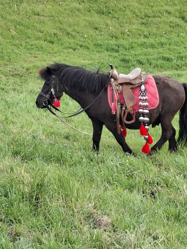 Photo 3 by Julija K. about hiring a Skoda Fabia STW in Kaunas (02.06.25)