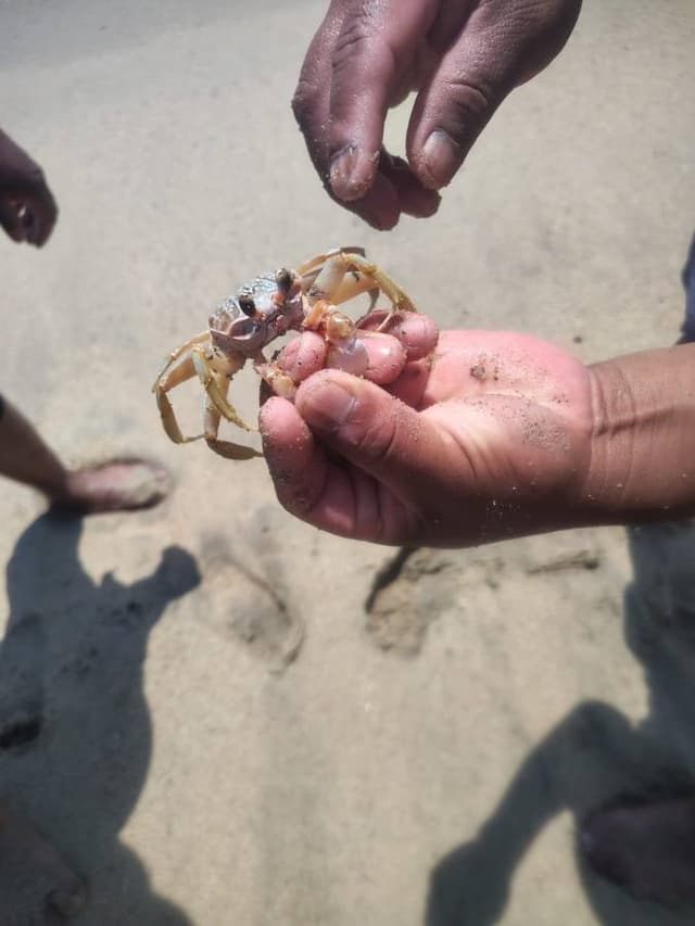 Foto 13 de Jose David R. (9/3/26)