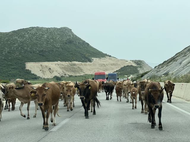 Foto di Luca B. sul noleggio di una Dacia Sandero all’aeroporto di Tirana (01/06/24)