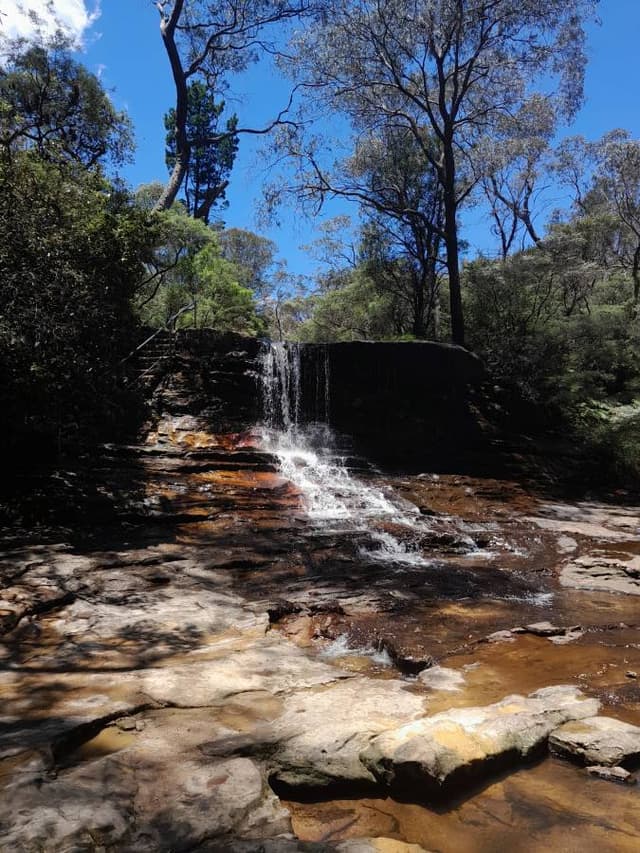 Photo 5 by Anthony H. about renting a Kia Stonic in Sydney (12/20/23)