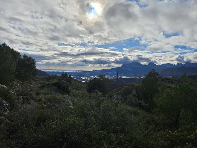 Foto 3 van attilio L. (29-12-25)