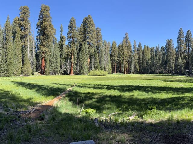 Photo 4 by James H. (5/23/26)