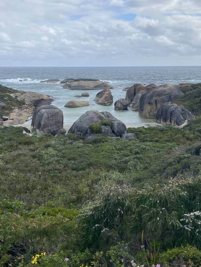 Photo 3 by Andrew M. (11/2/25)