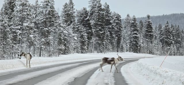 Foto 5 van Riette M. (25-1-26)