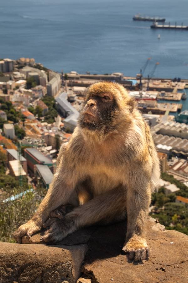 Foto 1 van Claudine V. over het huren van een Renault Clio in Malaga (29-5-25)