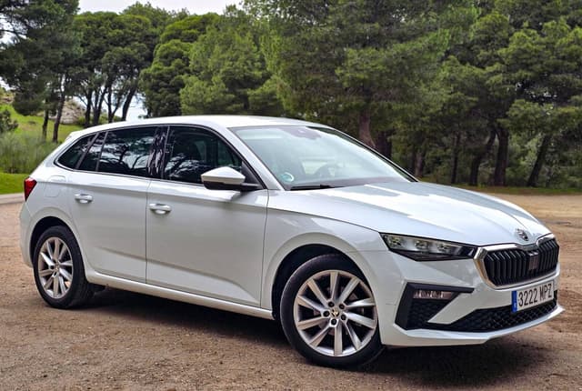 Photo by Virgo R. (3/4/26)