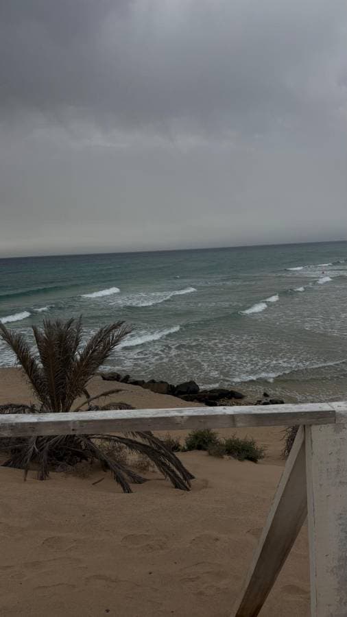 Foto de DOMINGO R. (3/7/26)