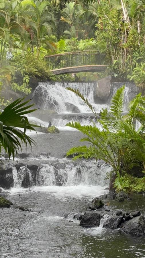 Photo 6 by Michele C. (3/20/26)