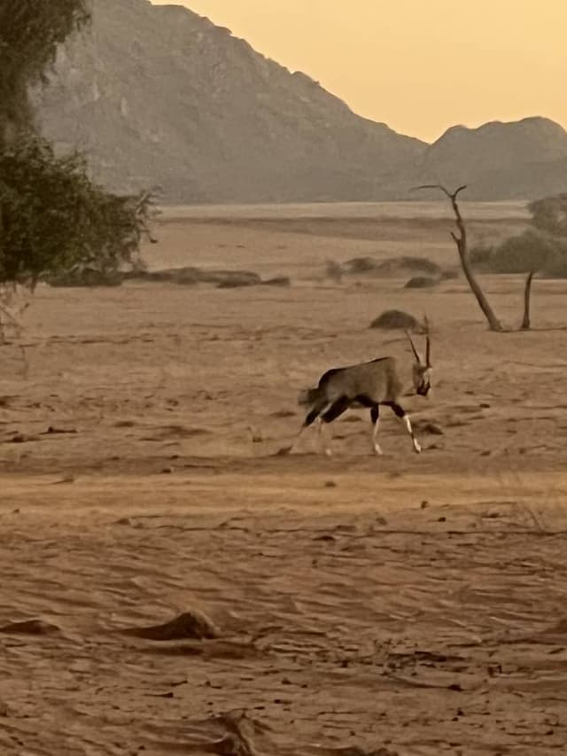 Photo 5 by Kathleen T. about renting a Toyota Hilux in Windhoek (8/29/24)
