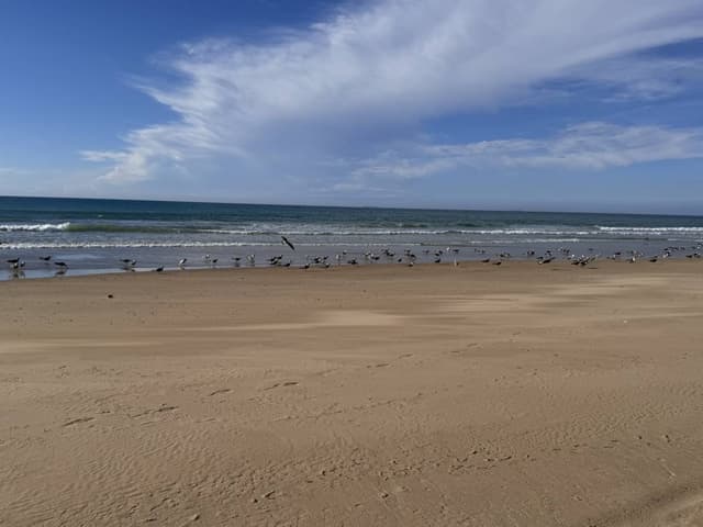 Foto 4 van Mohamed F. (29-10-25)