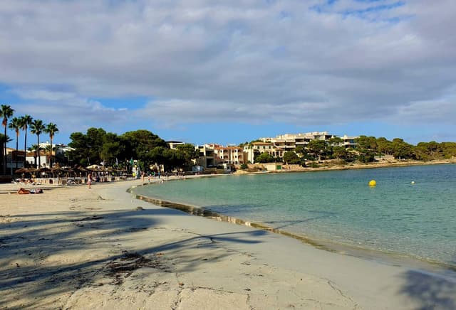 Foto 4 di michele S. sul noleggio di una Opel Corsa a Maiorca (14/09/24)