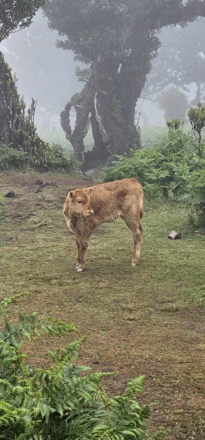 Zdjęcie 2 wykonane przez Tomasz R. (19.05.23)