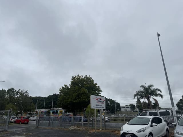 Jeeyoung K.의 사진 4 (25. 3. 12.)