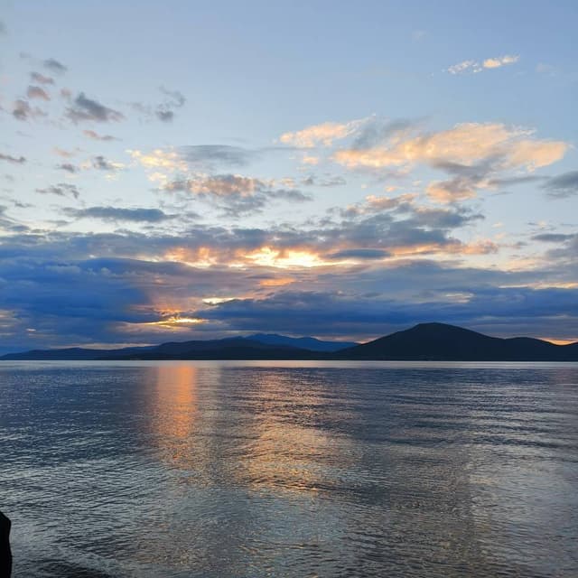 Photo by Jenni T. (4/8/26)