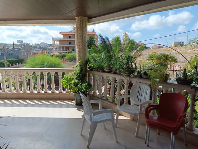 Photo 2 by Hussein B. (10/29/25)