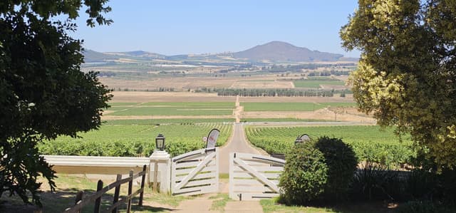 Foto 9 van Jelle J. (2-12-25)