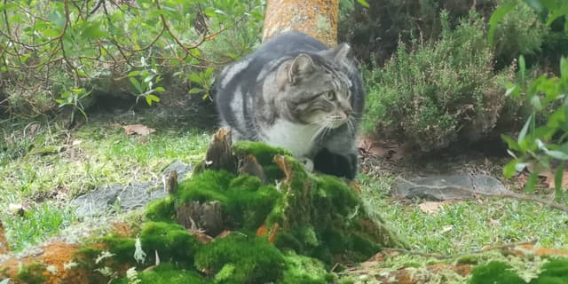 Foto 8 de Mario P. (23/02/26)