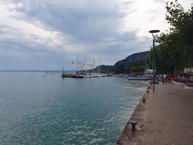 Foto 3 de Joao V. (27/08/25)