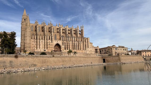 Foto 2 van revelino F. (20-2-26)