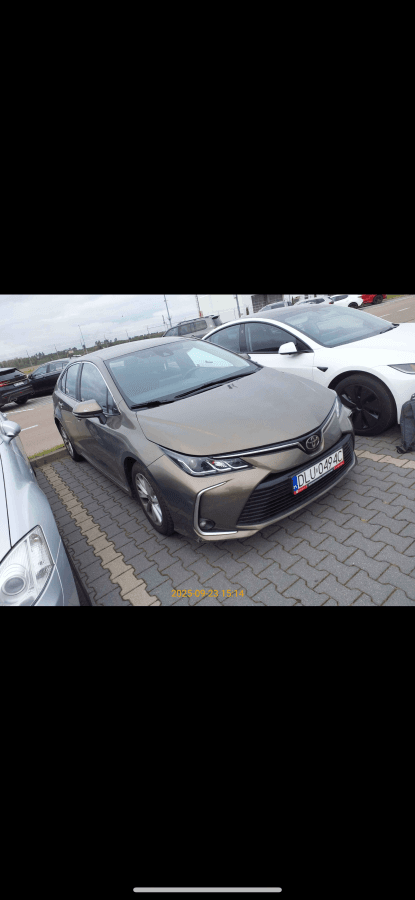 Photo by Marek N. (9/23/25)