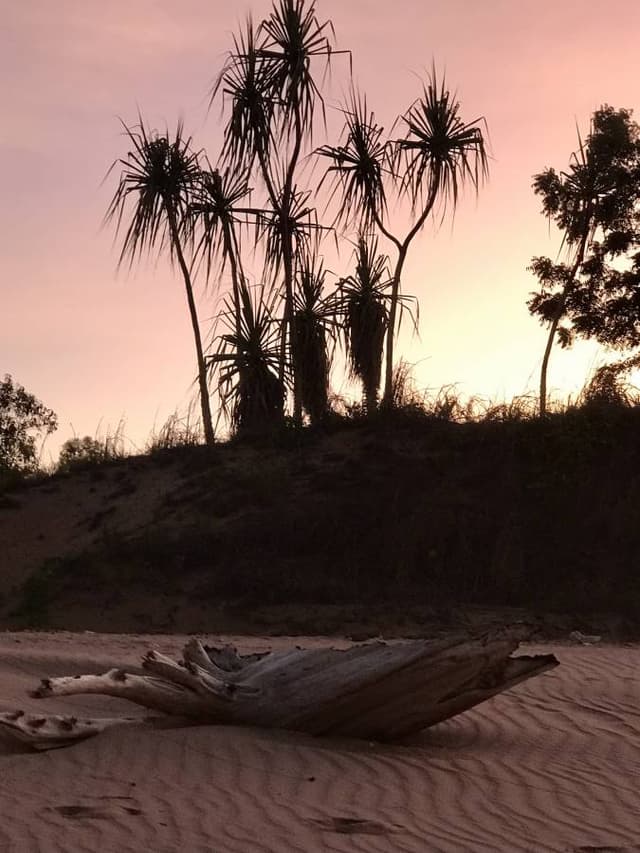 Photo by Carol G. about renting a MG 3 in Darwin (12/7/22)