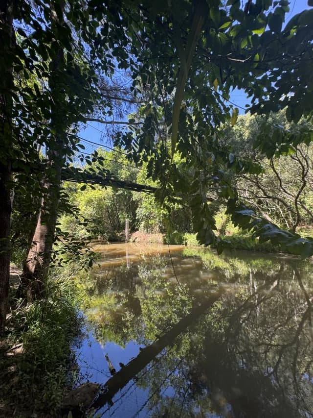 (25/11/24)のレンタルについて、Mansuke I. による写真 7