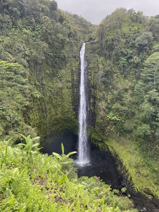 Photo 3 by John S. (3/28/25)