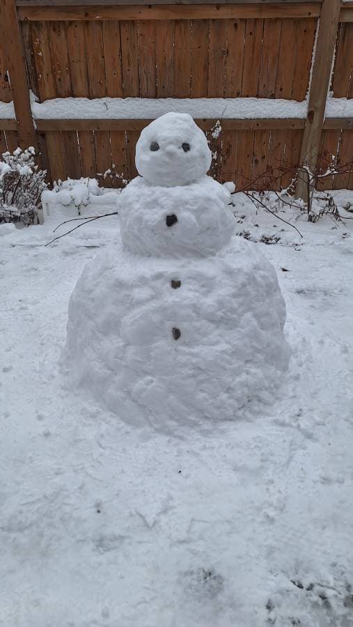 Photo 2 by Shiu Hung H. (12/29/25)