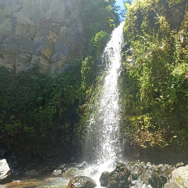 Foto 4 de Maria da Conceicao T. (18/06/26)