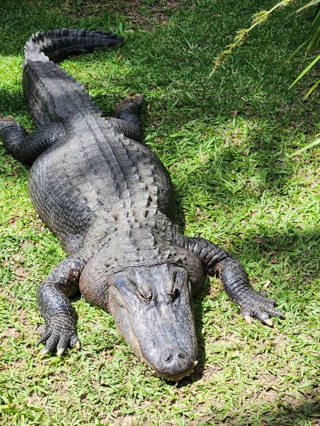 Photo 3 by Paula C. (11/24/25)