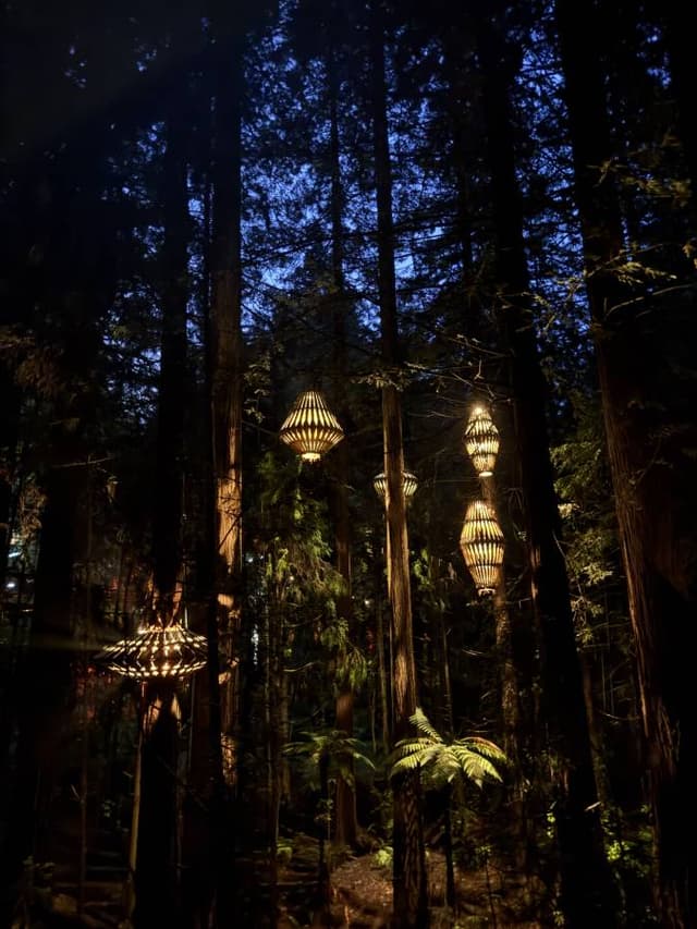 (25/11/23)のレンタルについて、Chiaki S. による写真 2