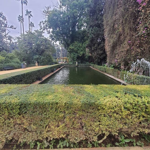 Kemal A. tarafından 2 fotoğraf (17.12.25)