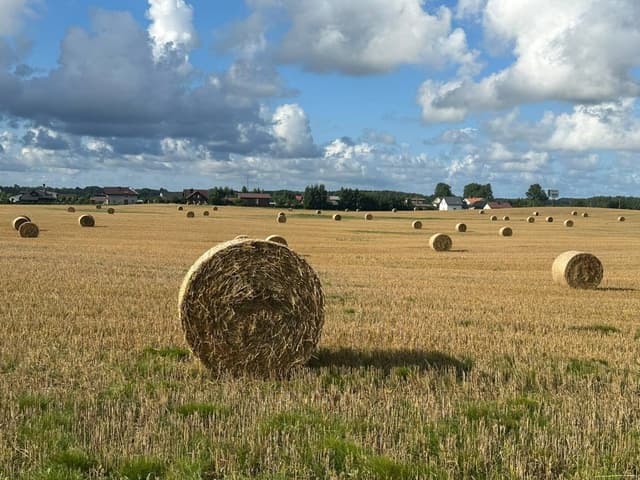 Foto 2 van Johan P. (28-8-26)