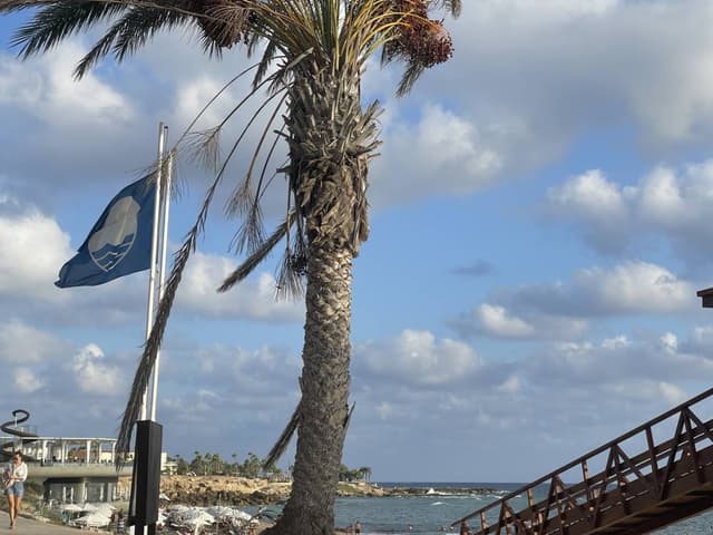 Photo 4 by Alexandra A. about renting a Skoda Citigo in Cyprus (9/2/24)
