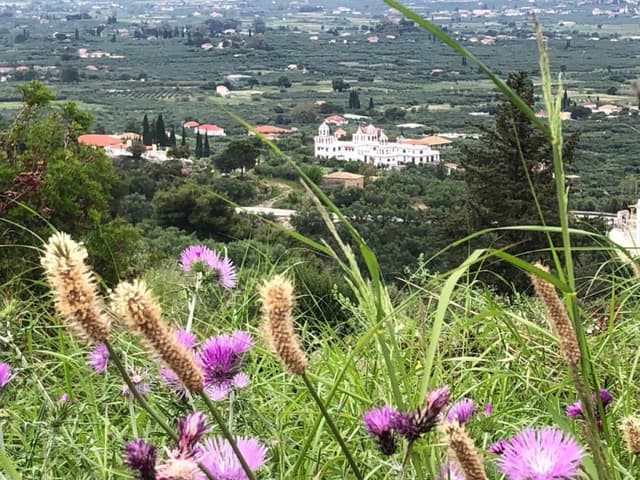 Foto 1 van Johanna N. (14-5-23)