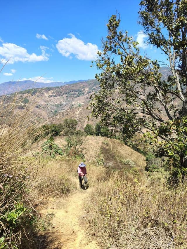 Foto 14 de Jose David R. (9/3/26)