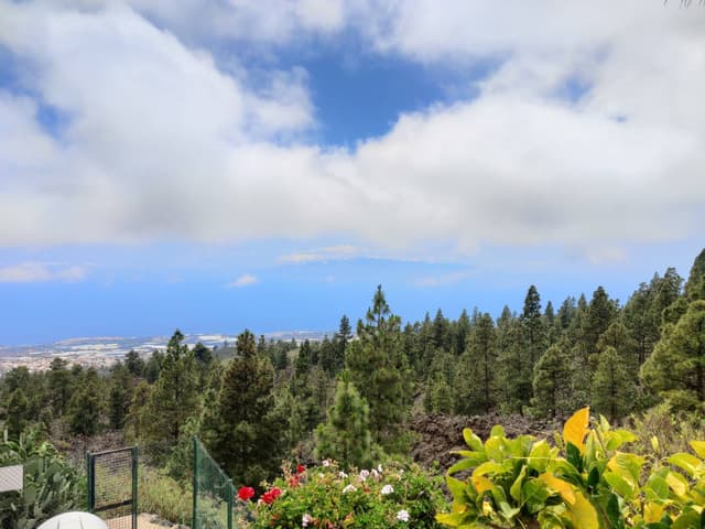 Photo by Mrunal S. about hiring a Seat Ibiza in Tenerife (24.06.23)
