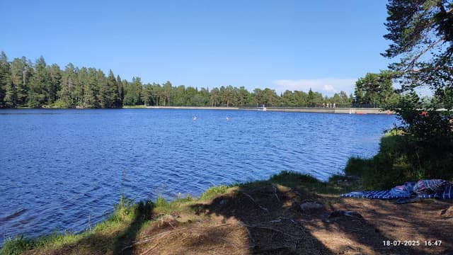 Foto 3 van Ron T. (23-7-25)