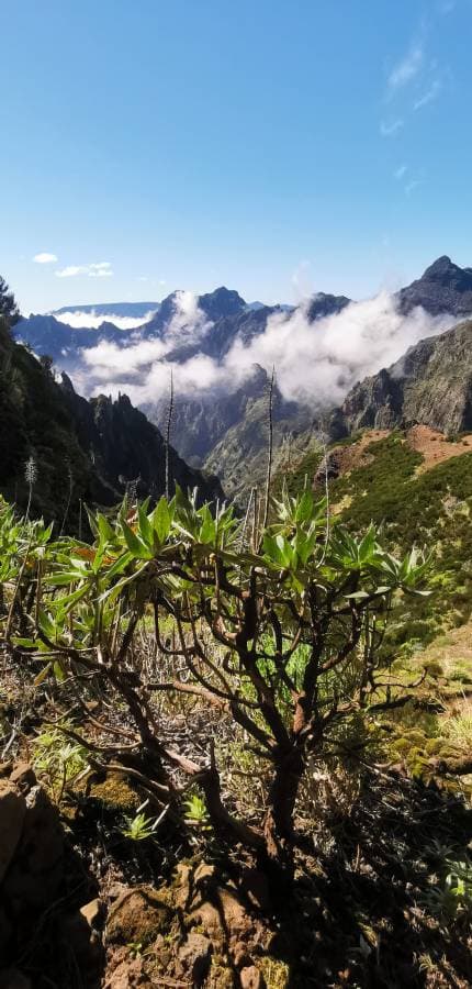 Foto 1 od Pavla S. (3/18/24)