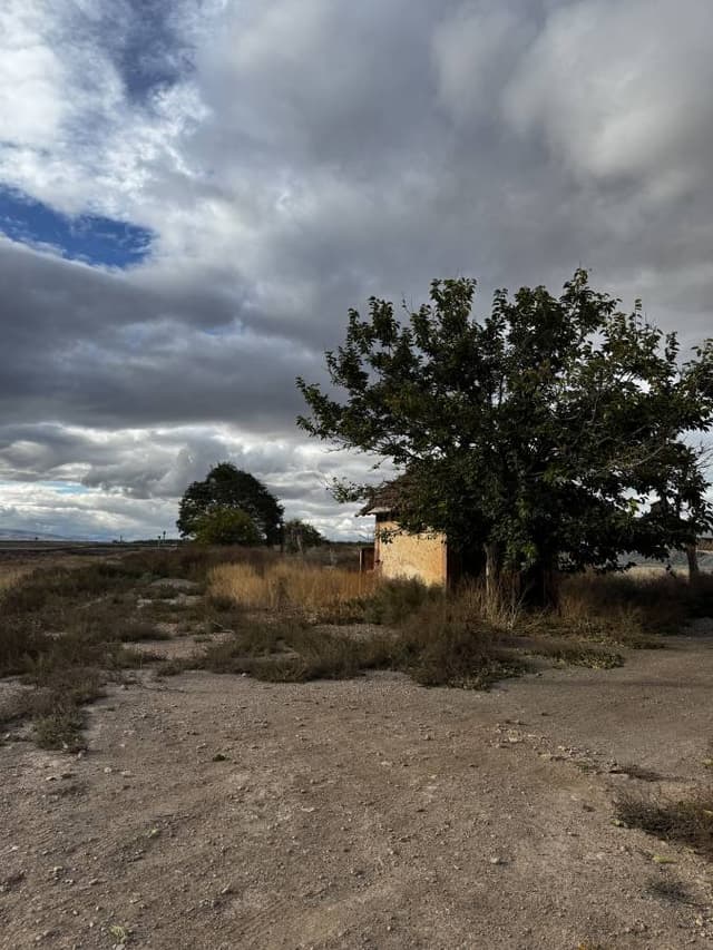 Foto 5 od Roman S. (2. 11. 25)