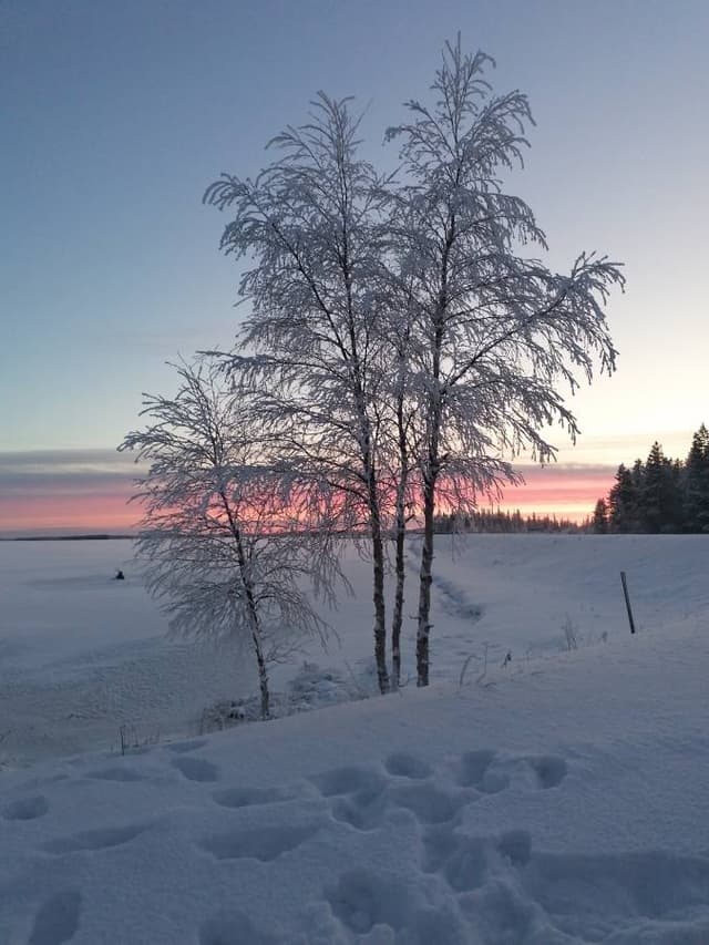 Foto 2 di Stefano R. (26/11/23)